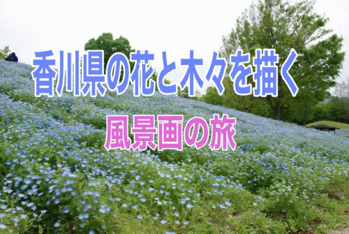 ”香川県の花と木々”巡り
