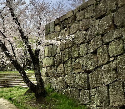”桜の丸亀城を描く”「風景画の旅」