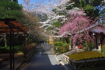 油彩で遠近感を出すコツ