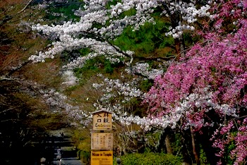 油彩で遠近感を出すコツ